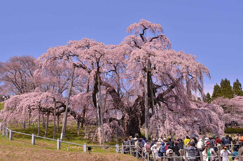 УДИВИТЕЛЬНО, НО ФАКТ… (Часть 112), изображение №65